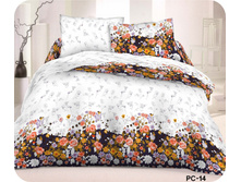 ��� PC-14 (����������).jpg