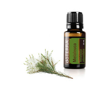 ������ ������ Melaleuca Essential Oil