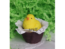 �������� � ��������