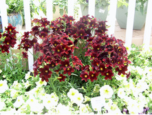 �������������