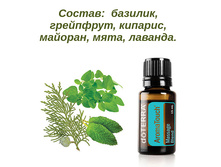 AromaTouch ����� ��� �������