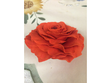 ������� ����