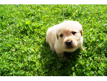 ������� №2