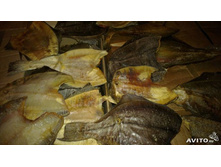 �������-��� ������� (��������)