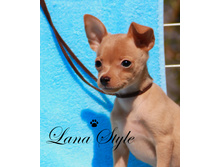 �.� �������