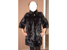 ��� ����