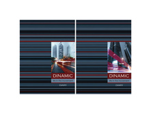 ���������� �������������� �6 160�. 7�� Dinamic, ������� ���������, ���������� ��-��� 52,8.jpg