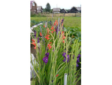 IMG 20150801 110048.jpg