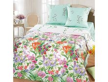 ��������� ��������.jpg