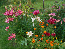 DSCN1063.JPG