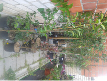 ����� 2015�.