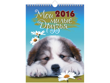 ��������� ������. �������. �� ������ ����- ��� ����� ������, 22-30 ��, � �������, 2016 �. 66,5.jpg