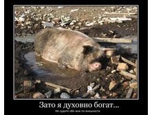 22222 1624586157753090 5953726634946839918 n.jpg