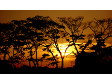 Sunrise-1170085.jpg