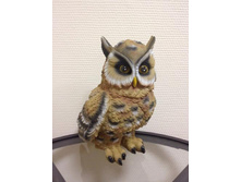 ������ ����� ���������� 221214.jpg