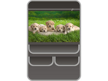 ����������� �� ������ ������� ������� ������, ���� 350���.jpg