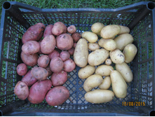 ����������������� ��������� ���������� � ������