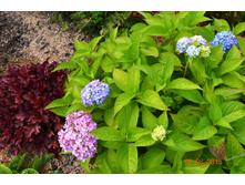 ���������� �� ����� ����������� ����