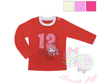 �������� FL273 155���.jpg