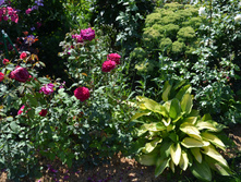 DSC 0823.JPG