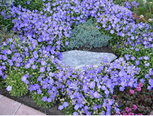 ����������� ����������.90