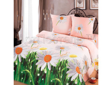 4744-1 Romashki s kompanonom.jpg