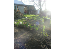 10.05.2015 P5100033.JPG