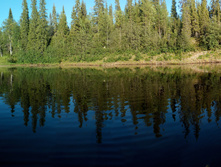 IMG 20150820 173021.jpg