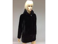 209.������ 16500 ���.