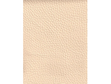 CANVAS (���� ��������� ���.����).jpg