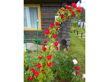 DSCN0849.JPG