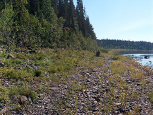 IMG 20150821 104905.jpg