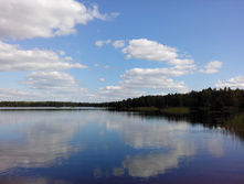 IMG 20150822 125216.jpg