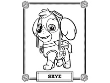 Tlapkovakontl (17).jpg