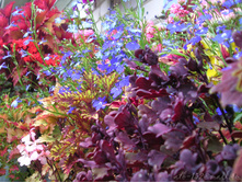 DSCN4292.JPG