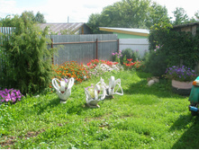 16.08.2015 P8160155.JPG