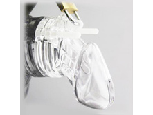 ���� �������� �����������, ����������