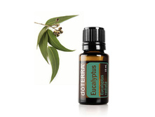 �������� Eucalyptus Essential Oil