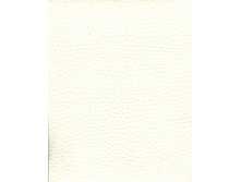 SNOW (���� ��������� ���.����).jpg