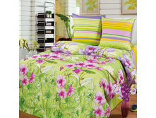 4264-1 Tropiki s kompanonom.jpg