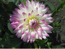 №20 ��������.jpg