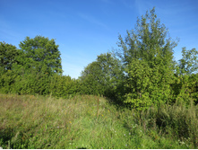 IMG 5635.JPG