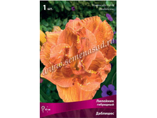 �������� ��������.jpg