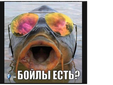�����.JPG