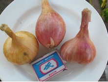 ��� ����� �������,���������� � ?