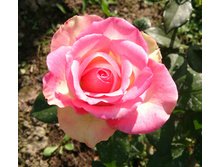 IMG 20141006 202343.JPG