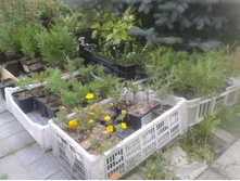 ����� 2015�.