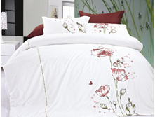 ��� ������ ����� � �������� ES-09.jpg