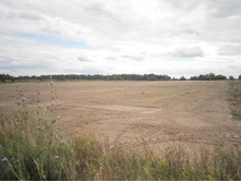 �����-����.