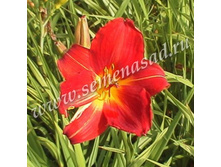 �������� �����.jpg